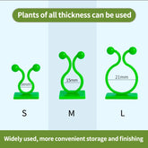 Selbstklebende, feste Schnalle, Hakenverschluss, gebundene Vorrichtung, Weinreben-Schnallenhaken, Gartenpflanzenwand-Kletterrankenclips